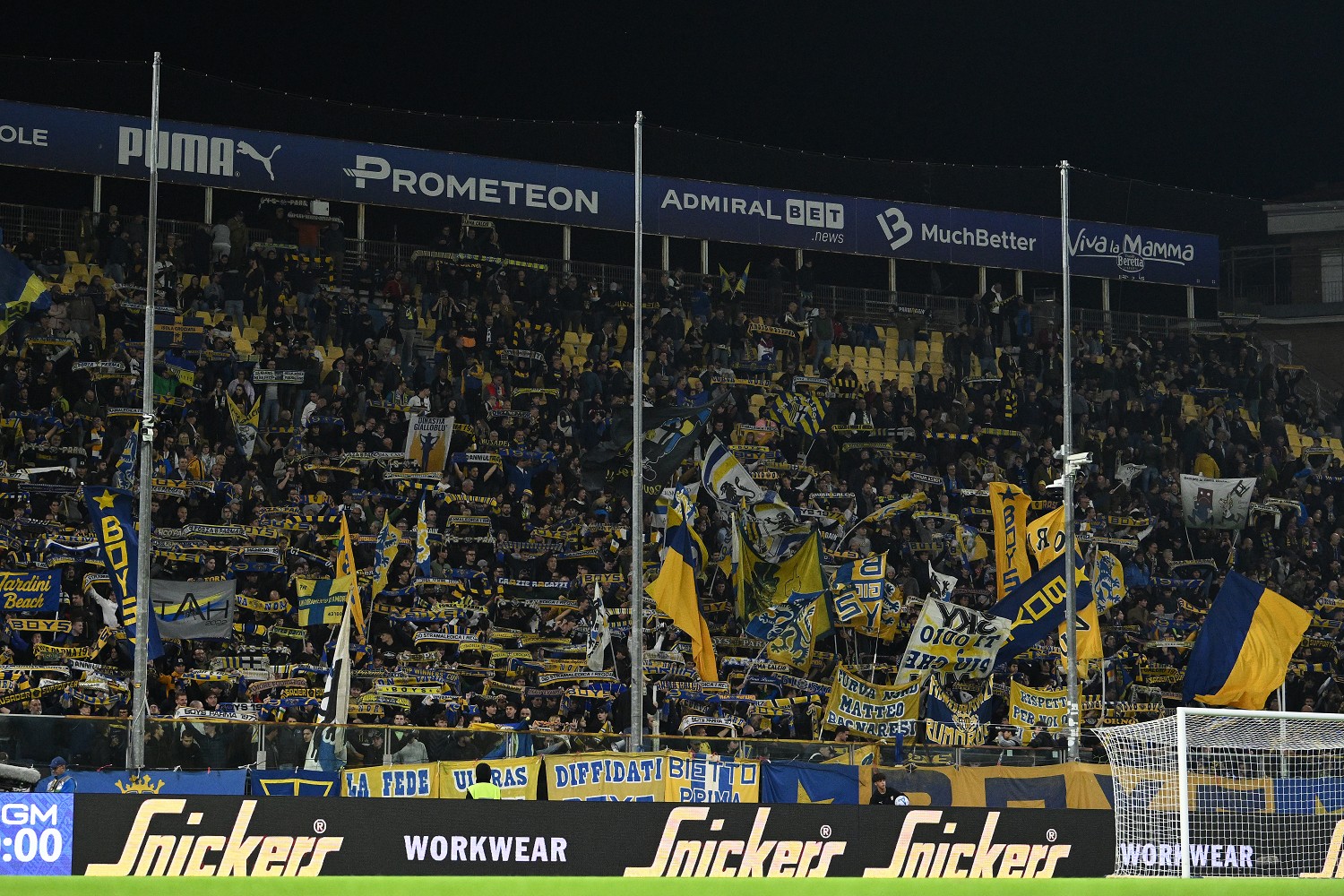Tifosi